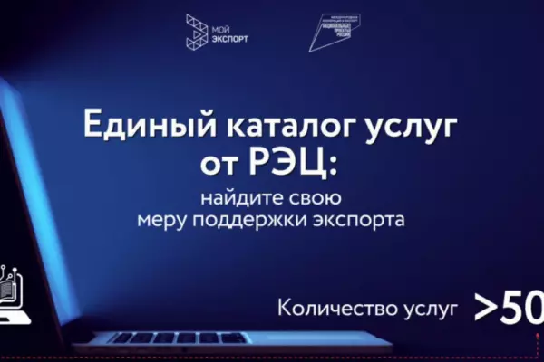 Рассказываем о преимуществах сервиса «Единый каталог услуг»