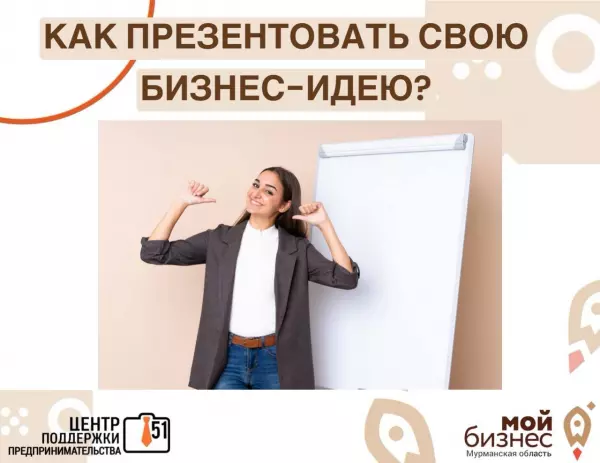 Стратегия презентации зависит от новизны идеи