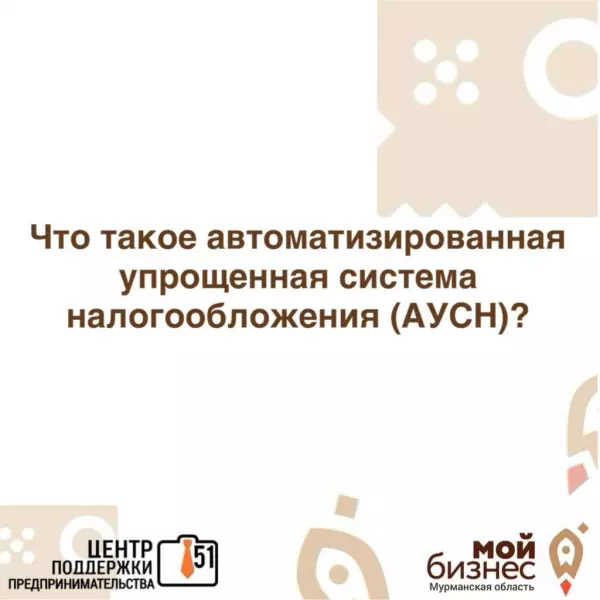 Предлагаем разобраться: что такое автоматизированная упрощенная система налогообложения (АУСН)?